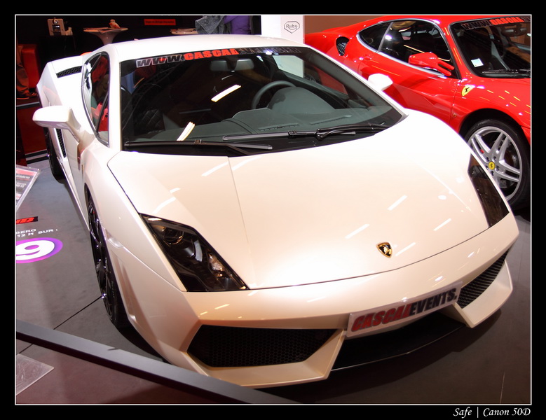 2008   10   Salon auto Paris   276